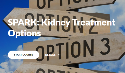 Kidney Treatment Options